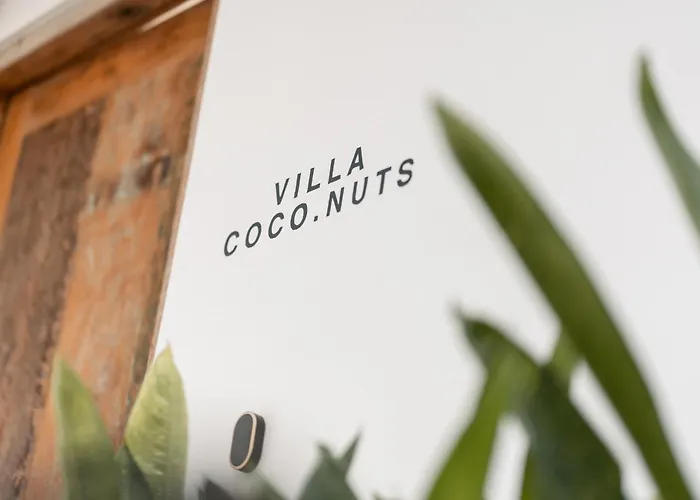 Coco Nuts Pererenan *